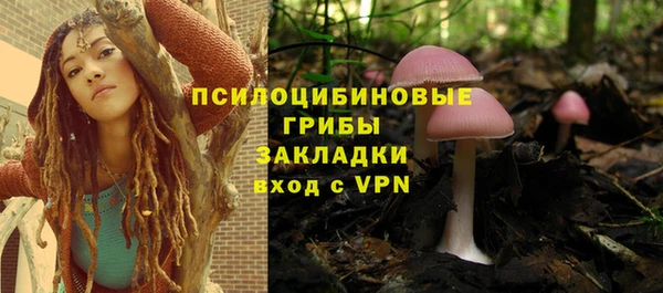 МДПВ Бугульма